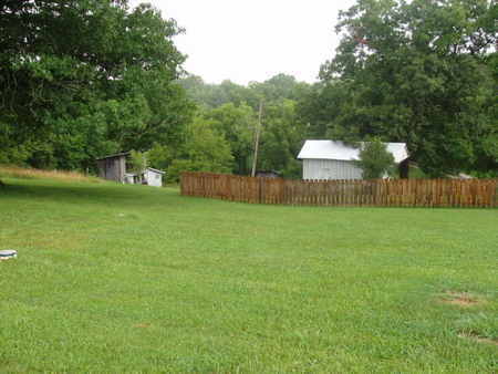 2645 Flowing Spring Road Buchanan, VA 24066 - Photo 5 of 10 side yard showing smokehouse/workshop