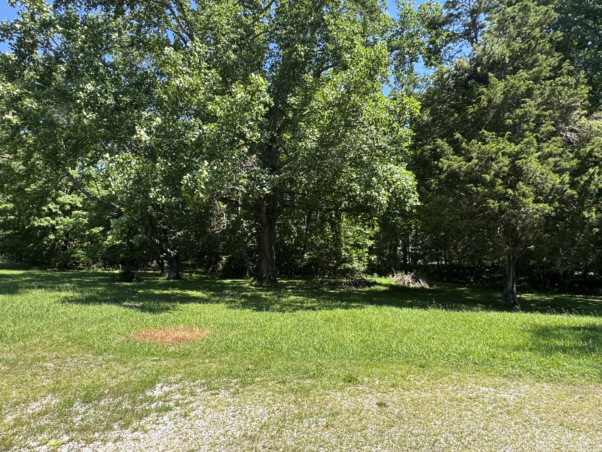 2768 Bellar Road Greenbrier, TN 37073 - Photo 3 of 16