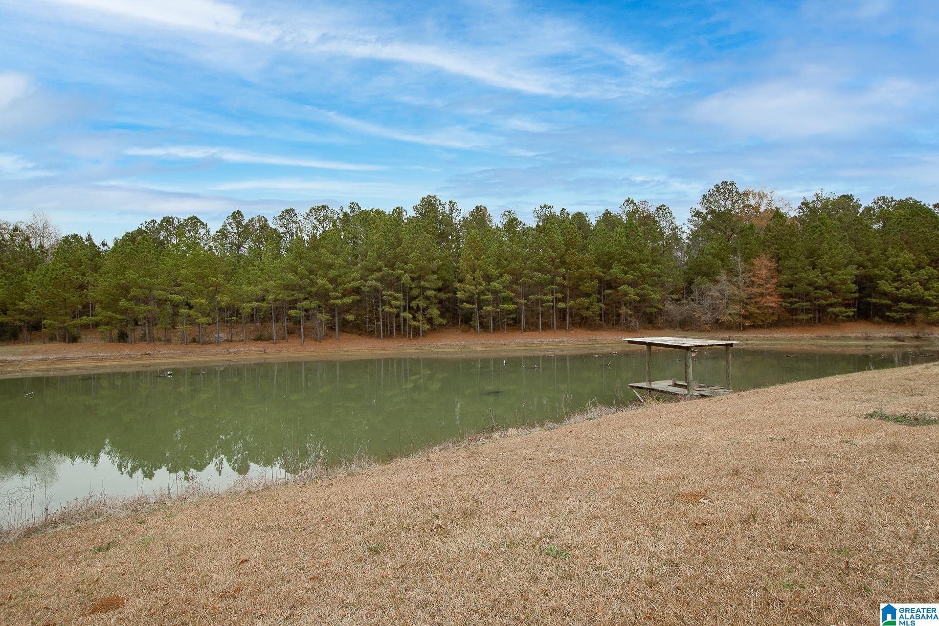 1444 Thrasher Road Sawyerville, AL 36776 - Photo 35 of 47
