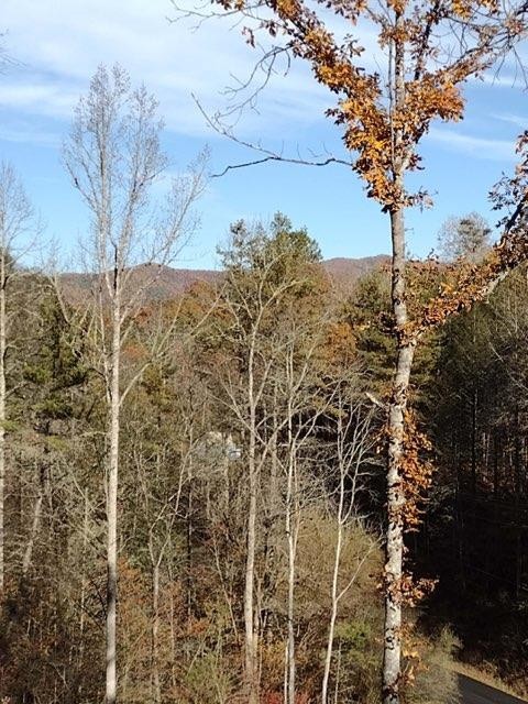 456 Grassy Branch Road Sevierville, TN 37876 - Photo 21 of 28