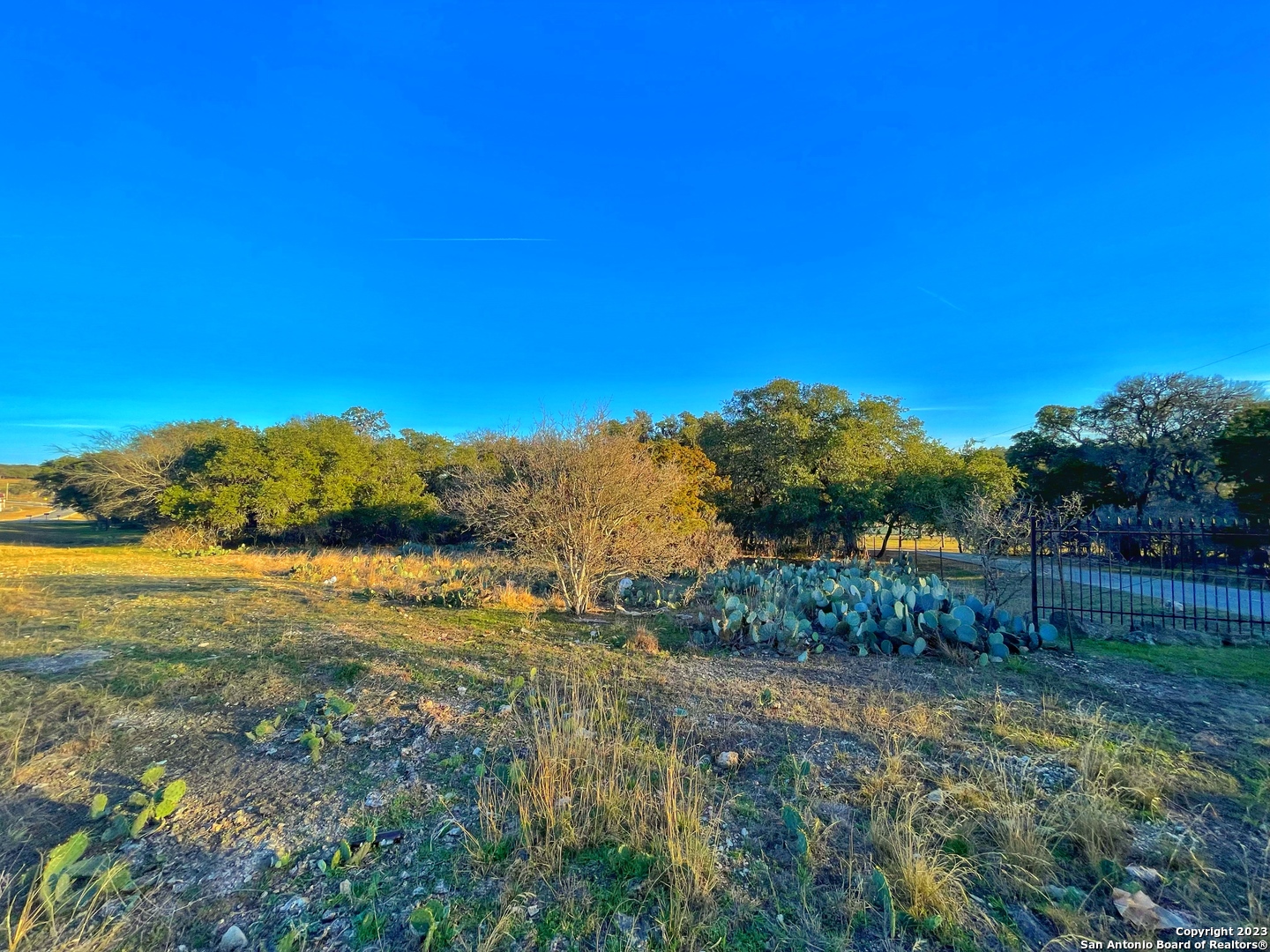 a view of a lake with a yard