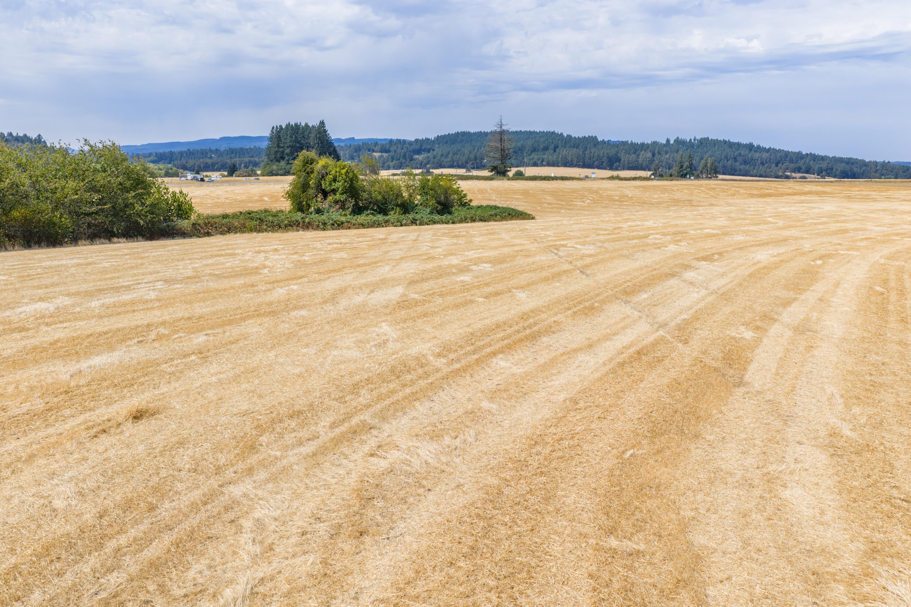 0 Coville Road Dallas, OR 97338 - Photo 10 of 15 Gallery Image 10