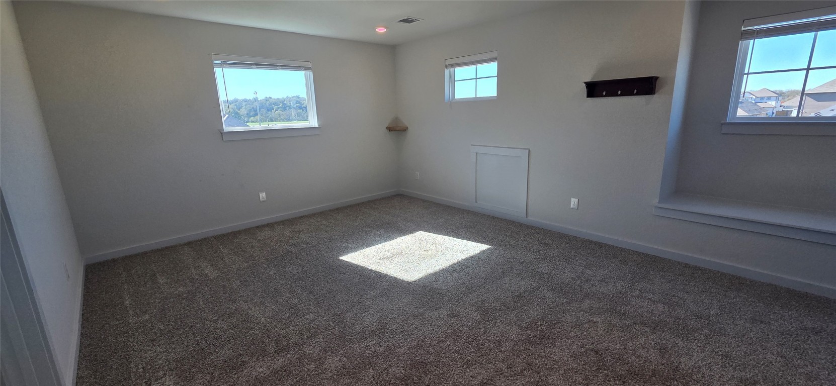 212 Whisper Rill Drive Hutto, TX 78634 - Photo 18 of 25 an empty room with windows