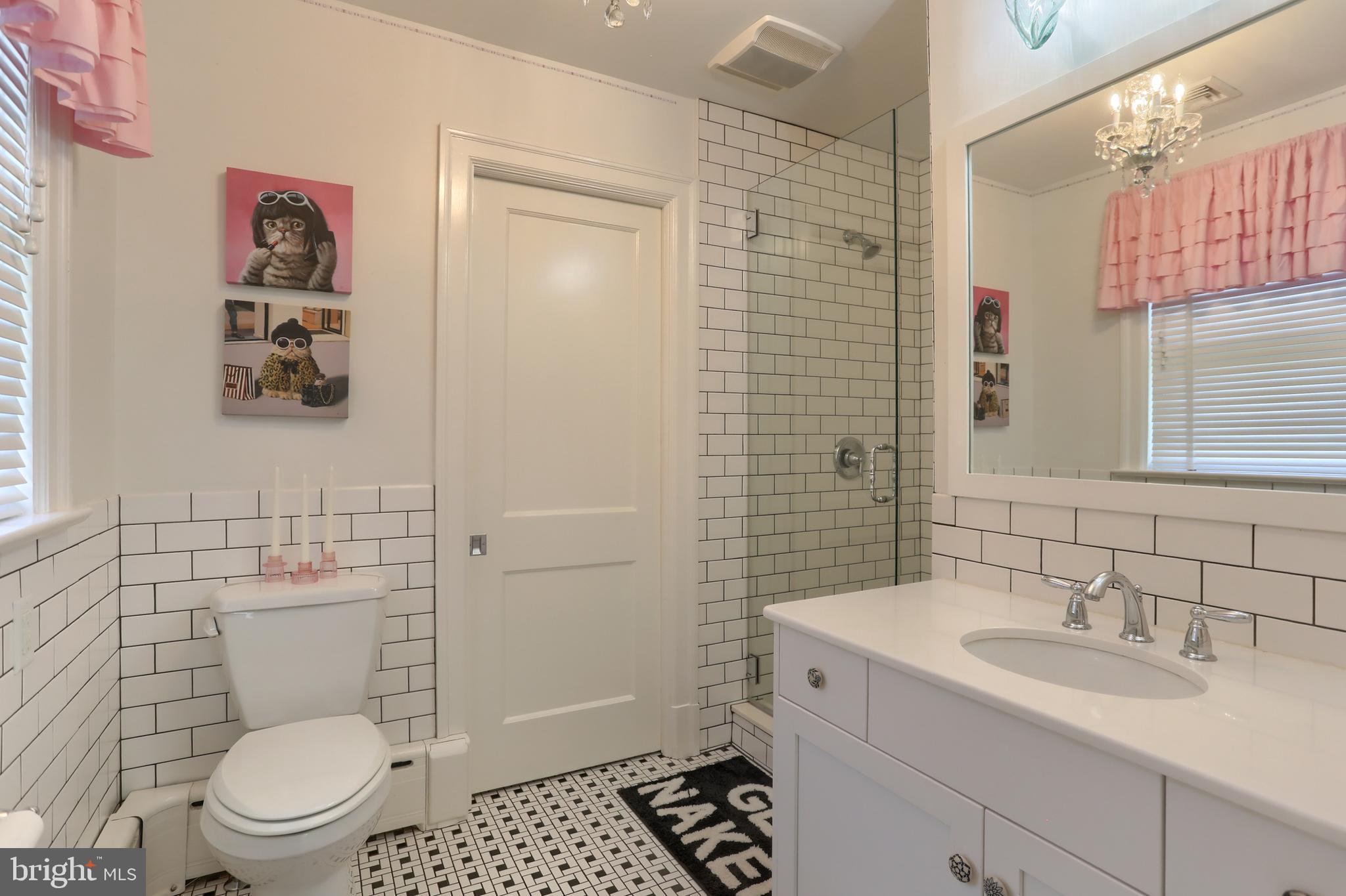 118 Elm Avenue Hershey, PA 17033 - Photo 34 of 54 a bathroom with a sink a toilet and shower