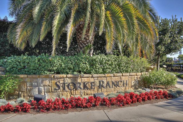 an outdoor space with lots of flowers