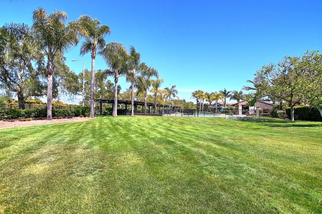 a view of a park with large trees
