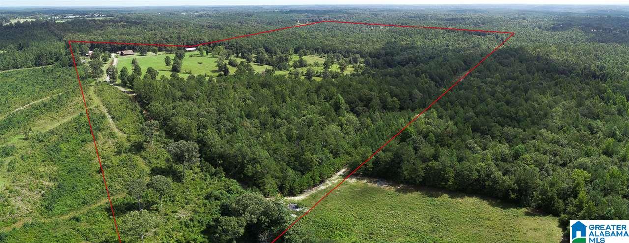 200 County Road 976 Jemison, AL 35085 - Photo 48 of 49