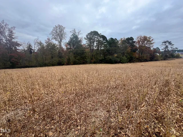 a view of an outdoor space and a yard