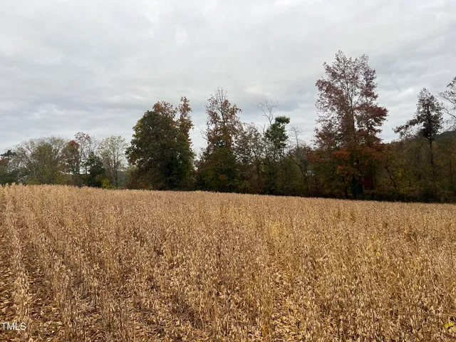 a view of outdoor space and trees