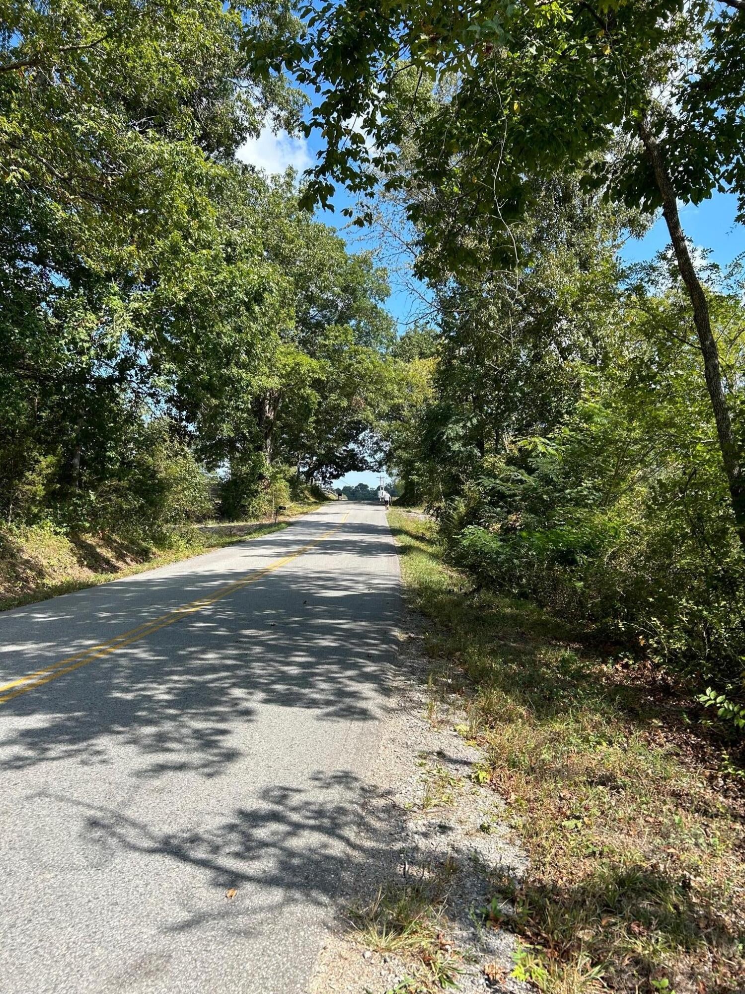 8 Euchee Road Ten Mile, TN 37880 - Photo 2 of 35