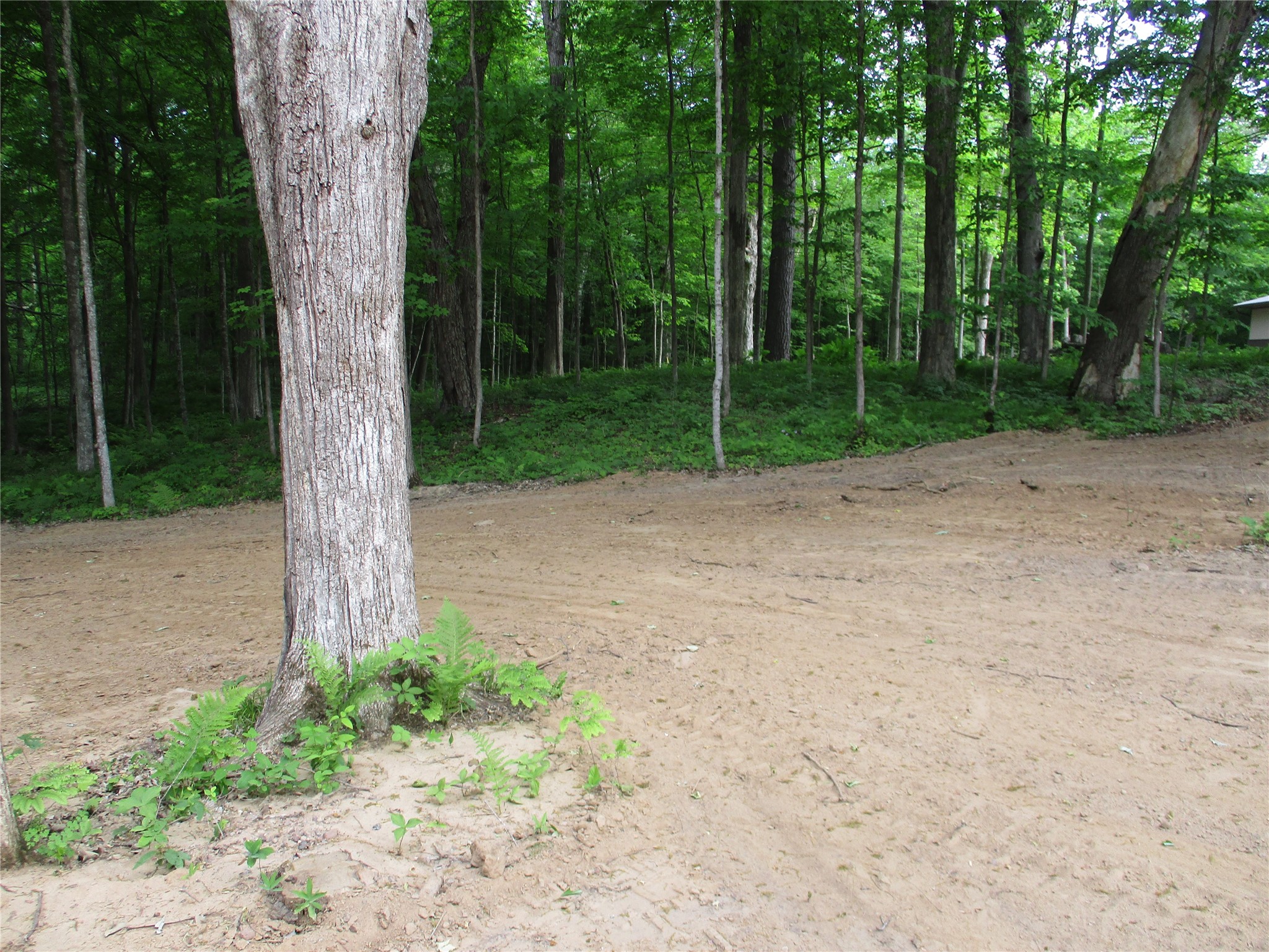 2982 Maple Way Birchwood, WI 54817 - Photo 3 of 7