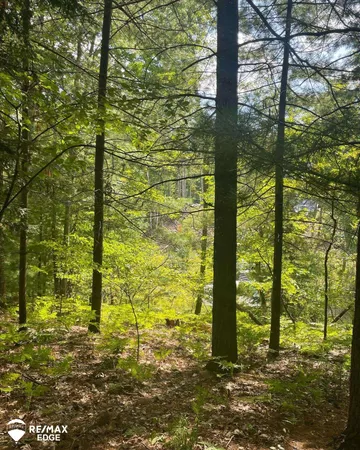 $39,999 | 0 Eagle Nest Lane, Alger, MI 48610
