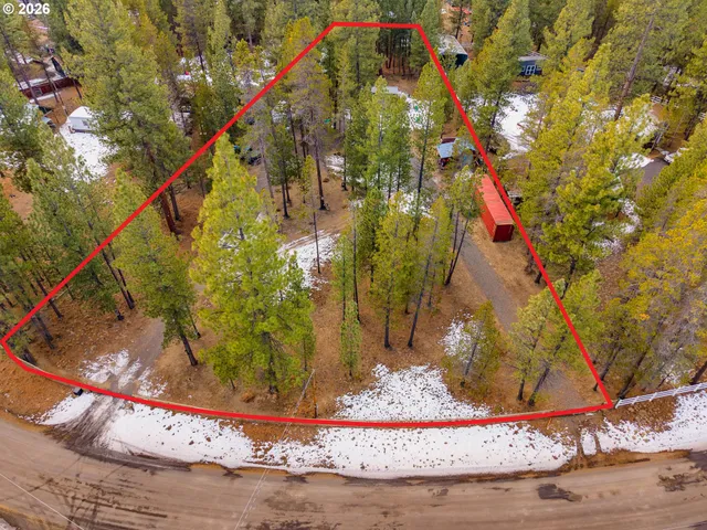 a view of a park with trees in the background