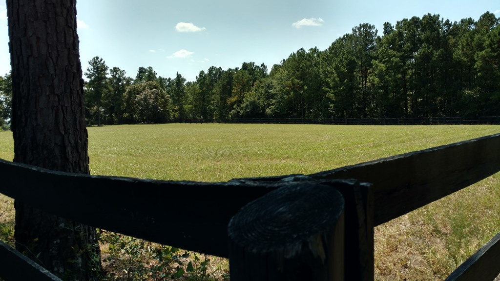 1116 Shaws Fork Road Aiken, SC 29805 - Photo 19 of 32