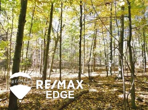 4532 North Washburn Road Davison, MI 48423 - Photo 58 of 61 20375781-57.JPG