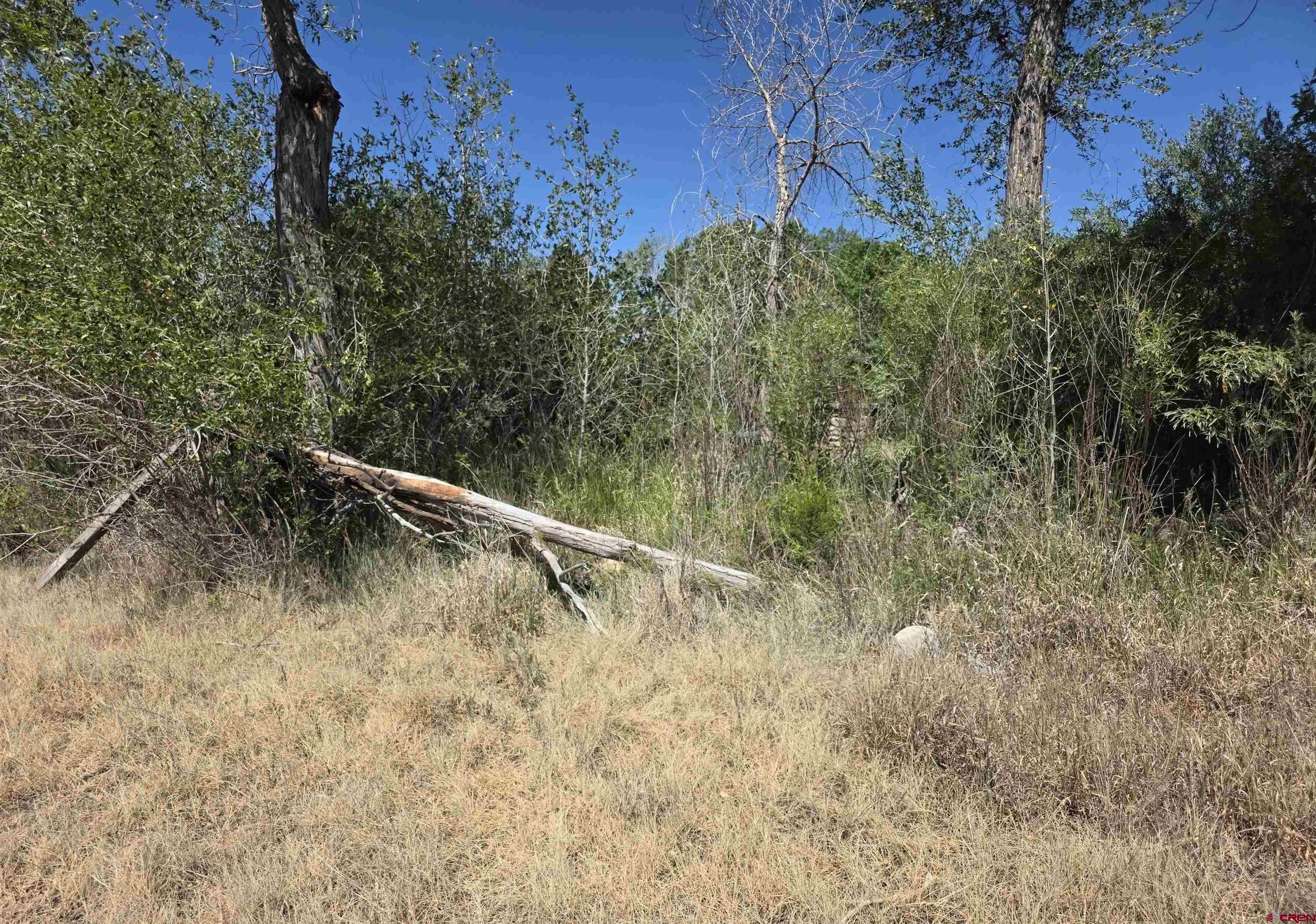 39344 Rd J Mancos, CO 81328 - Photo 8 of 11