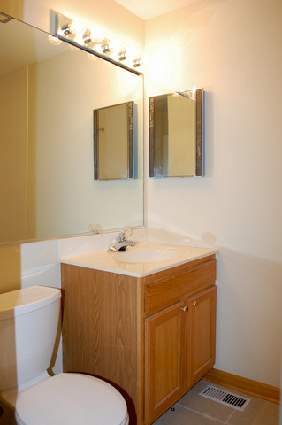 637 Bryce Trail Roselle, IL 60172 - Photo 8 of 13