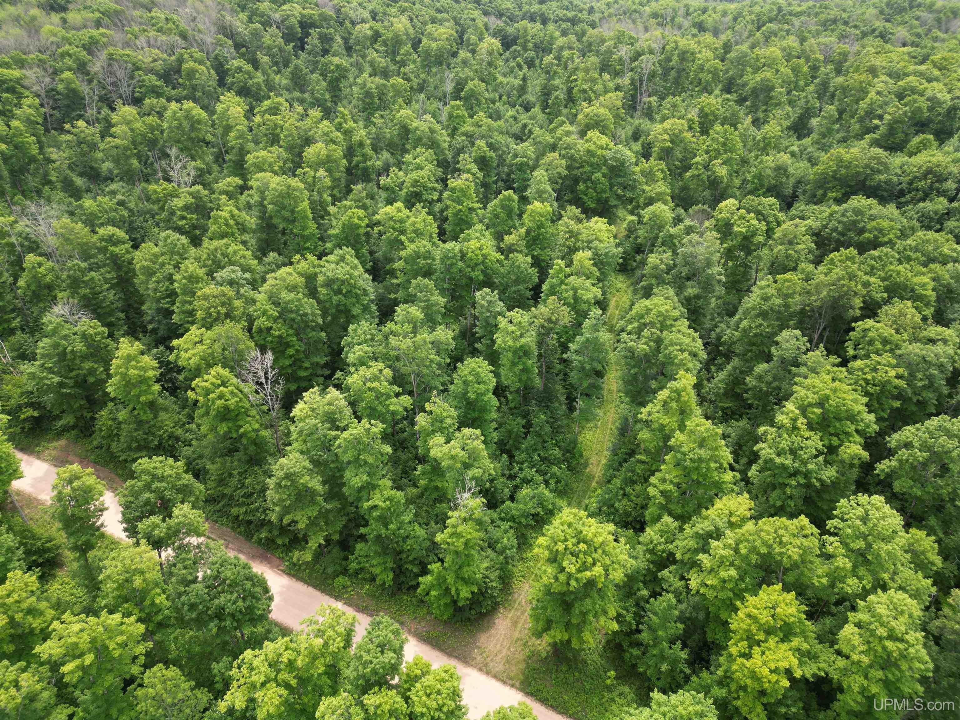 56730 Lantz Road Felch, MI 49831 - Photo 27 of 31 Gallery Image 27