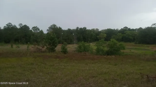 $100,000 | 125 Mosier Lane, Melrose, FL 32666