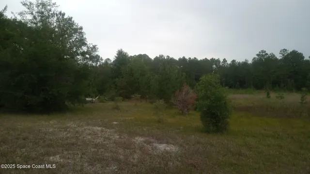 $100,000 | 125 Mosier Lane, Melrose, FL 32666