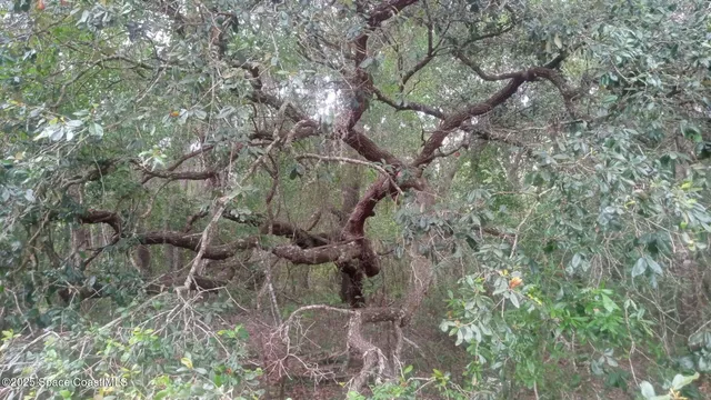 $100,000 | 125 Mosier Lane, Melrose, FL 32666