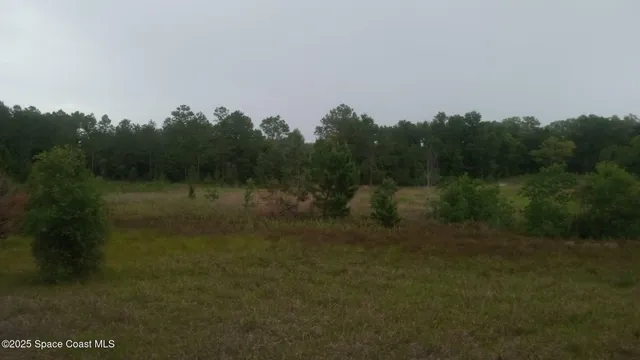 $100,000 | 125 Mosier Lane, Melrose, FL 32666