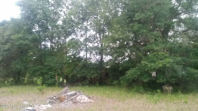 $100,000 | 125 Mosier Lane, Melrose, FL 32666