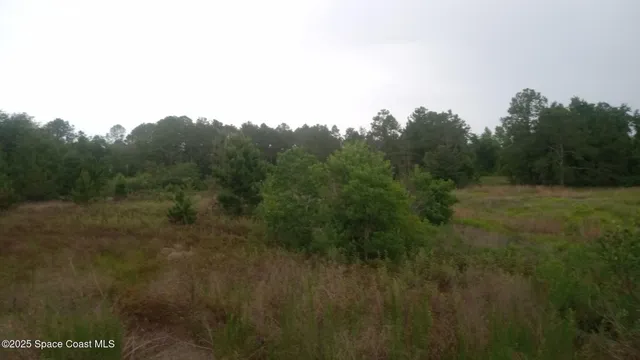 $100,000 | 125 Mosier Lane, Melrose, FL 32666