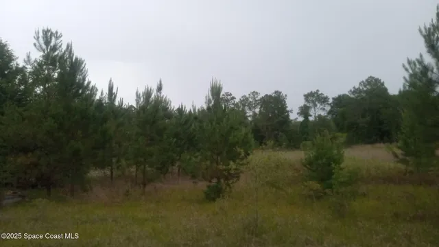 $100,000 | 125 Mosier Lane, Melrose, FL 32666