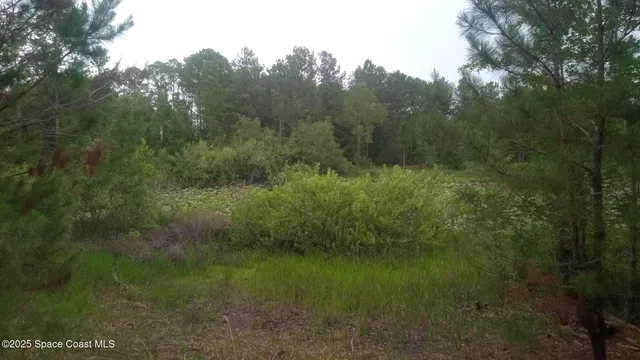 $100,000 | 125 Mosier Lane, Melrose, FL 32666