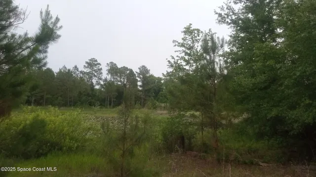 $100,000 | 125 Mosier Lane, Melrose, FL 32666