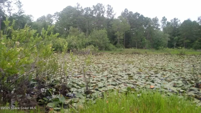 $100,000 | 125 Mosier Lane, Melrose, FL 32666