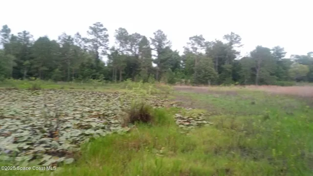 $100,000 | 125 Mosier Lane, Melrose, FL 32666