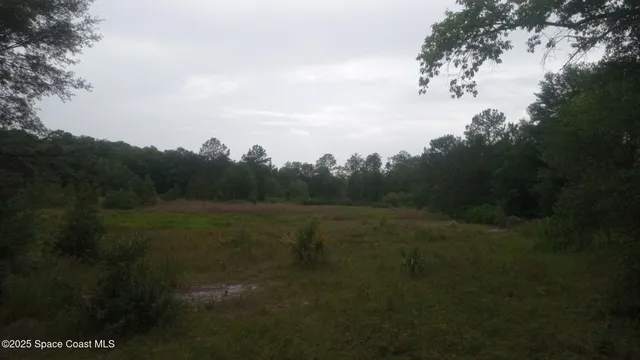 $100,000 | 125 Mosier Lane, Melrose, FL 32666