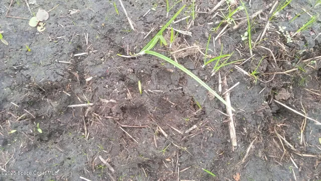 $100,000 | 125 Mosier Lane, Melrose, FL 32666