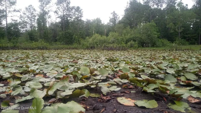 $100,000 | 125 Mosier Lane, Melrose, FL 32666