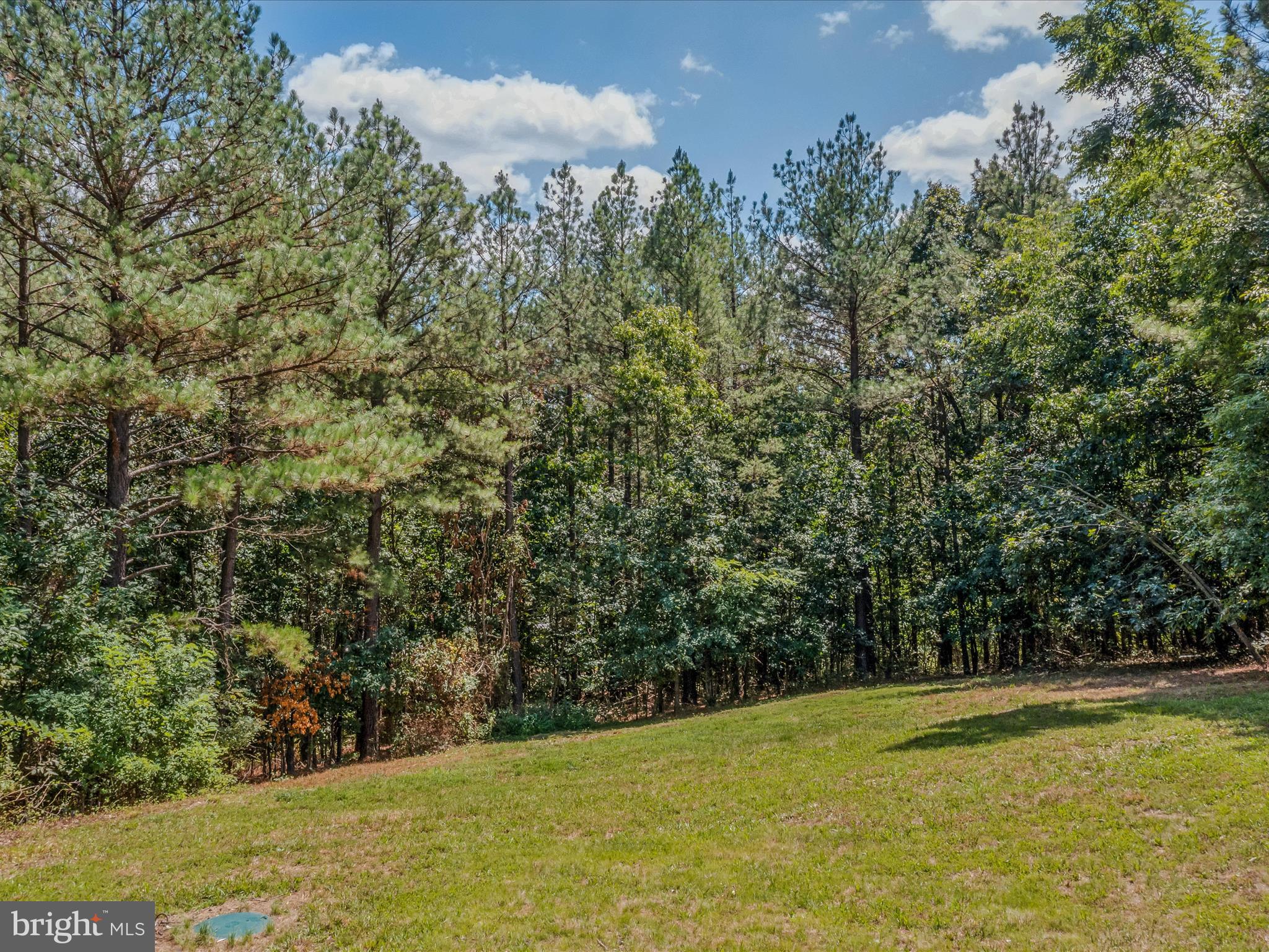 3804 Pious Ridge Road Berkeley Springs, WV 25411 - Photo 11 of 68 Backyard View