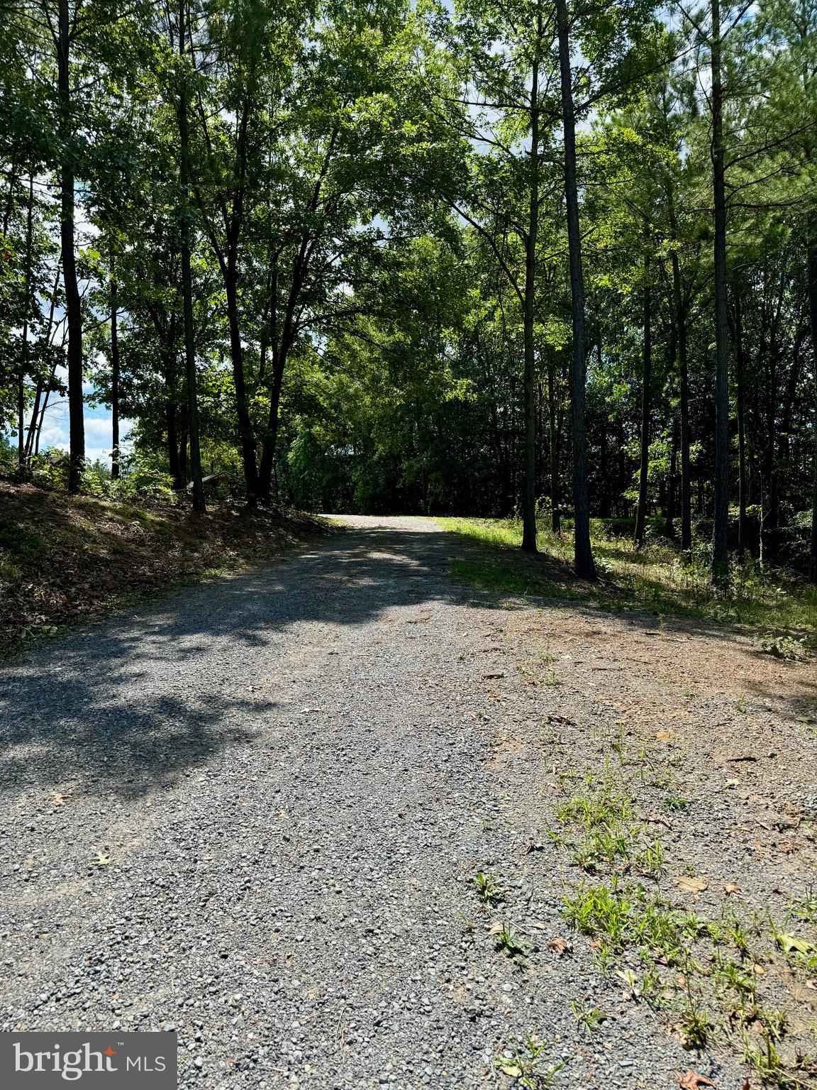 3804 Pious Ridge Road Berkeley Springs, WV 25411 - Photo 31 of 68 driveway