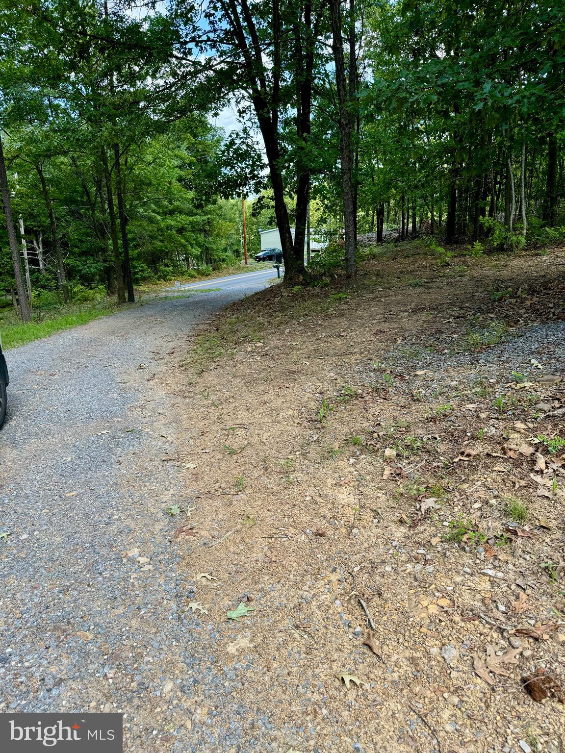 3804 Pious Ridge Road Berkeley Springs, WV 25411 - Photo 32 of 68 driveway
