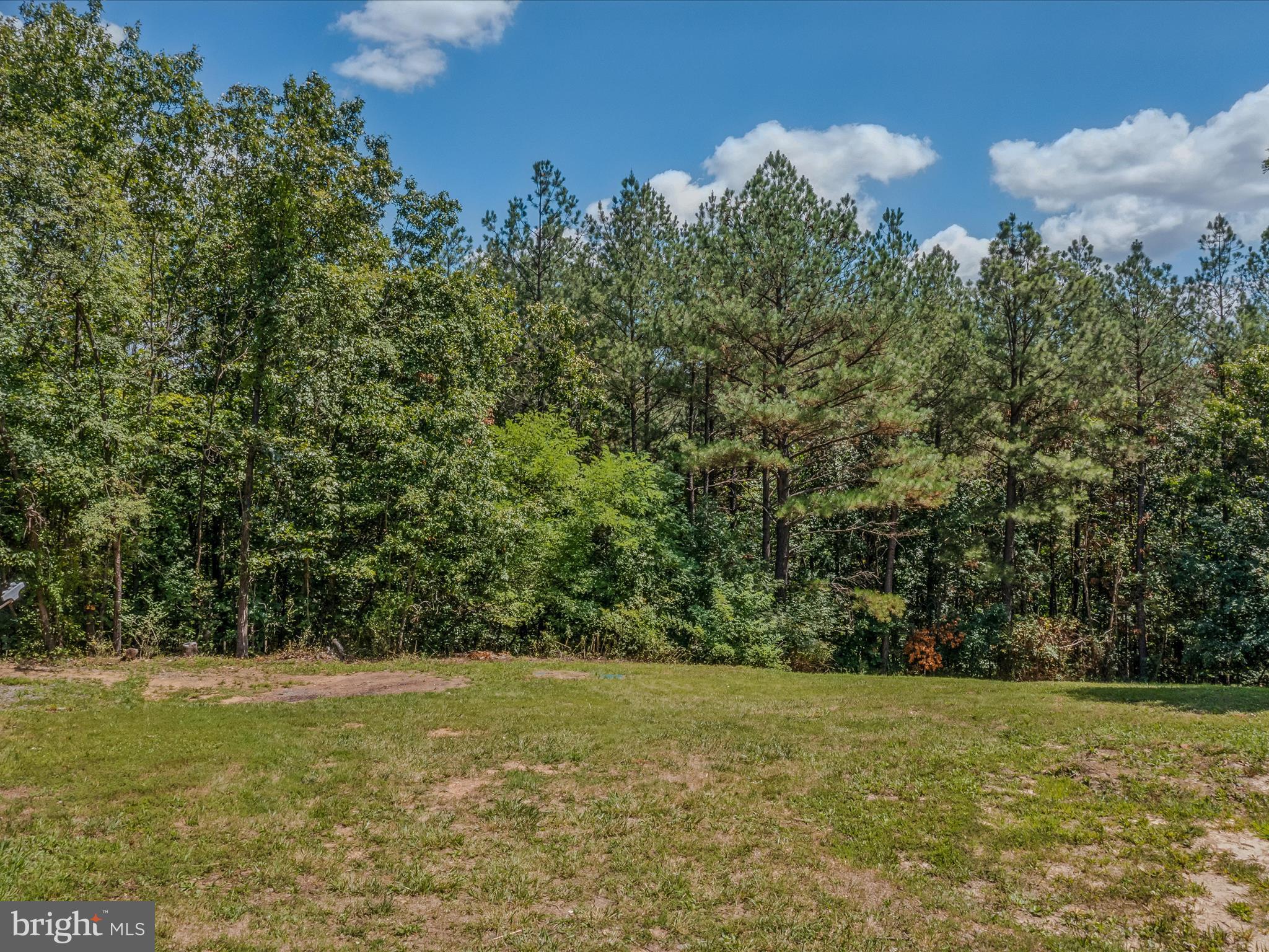 3804 Pious Ridge Road Berkeley Springs, WV 25411 - Photo 10 of 68 Backyard View