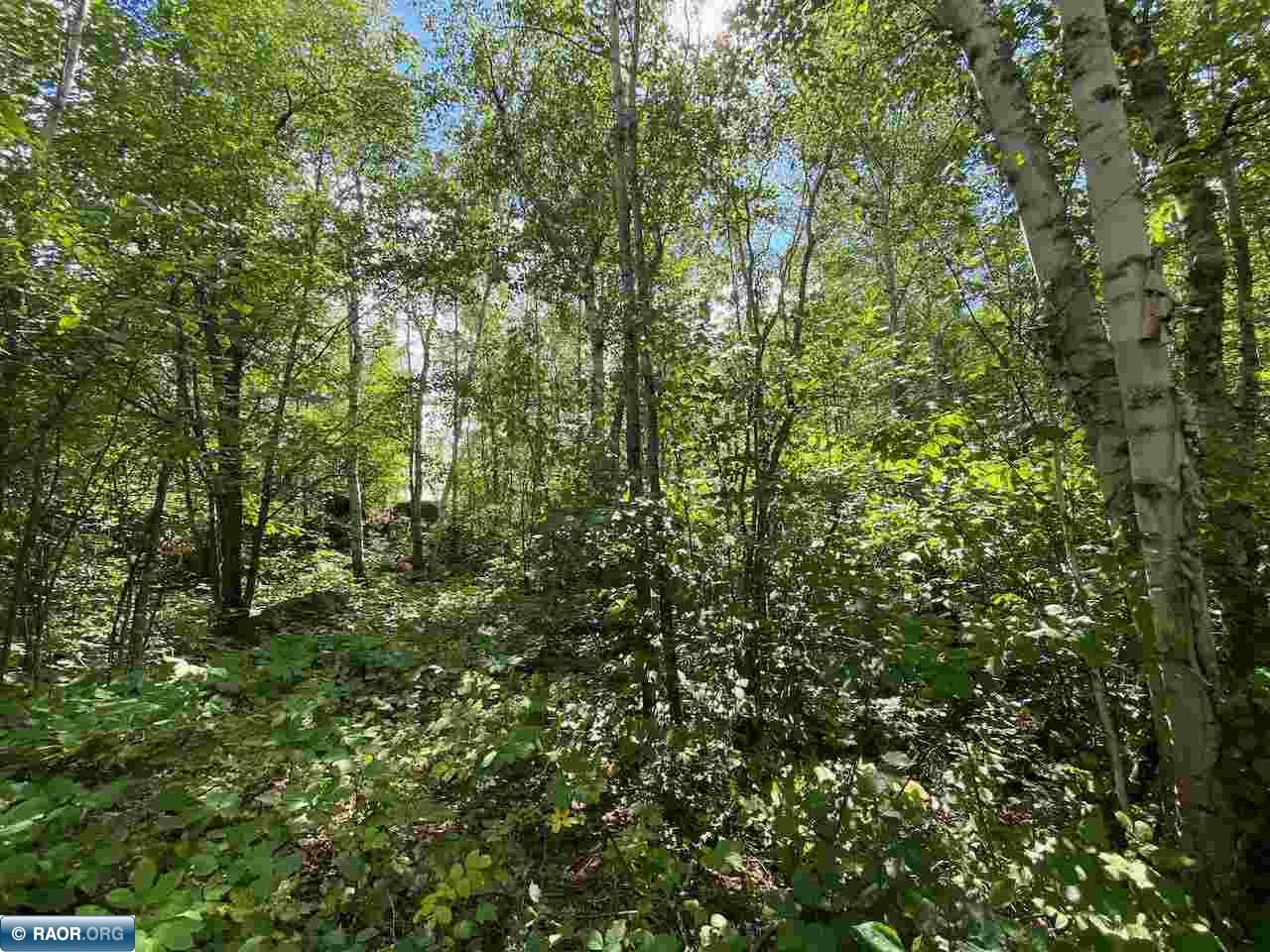 Tbd Lot 10 Wilderness Way Road Orr, MN 55771 - Photo 11 of 26 Gallery Image 11