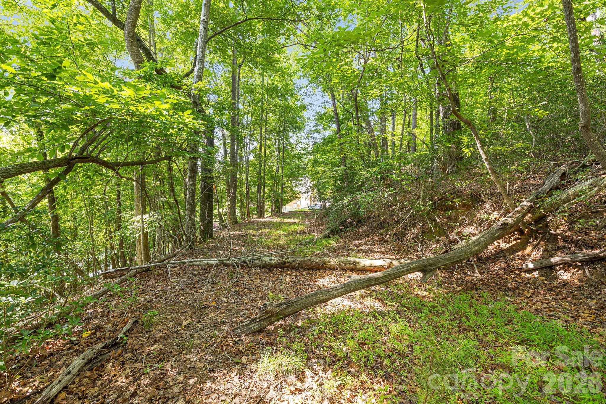 0 Canoe Drive, Unit 40 Mill Spring, NC 28756 - Photo 13 of 23