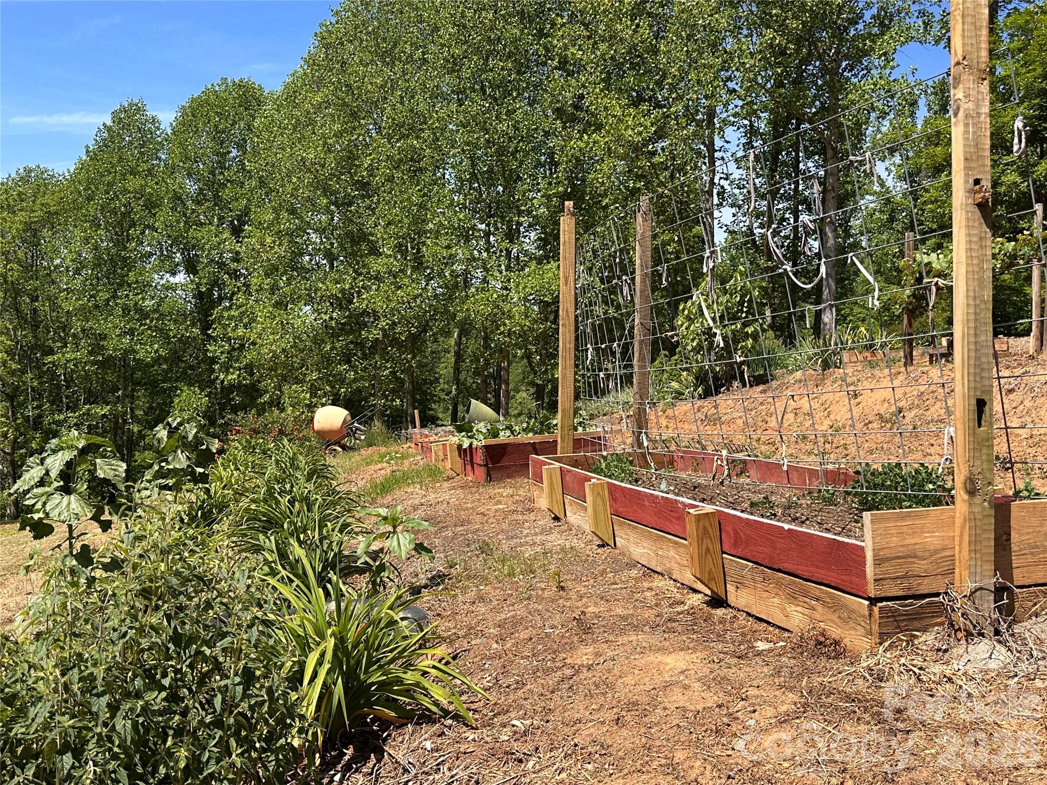2825 Harrell Hill Road Bakersville, NC 28705 - Photo 21 of 39
