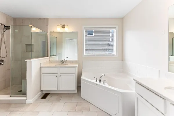 a bathroom with a bathtub sink and mirror