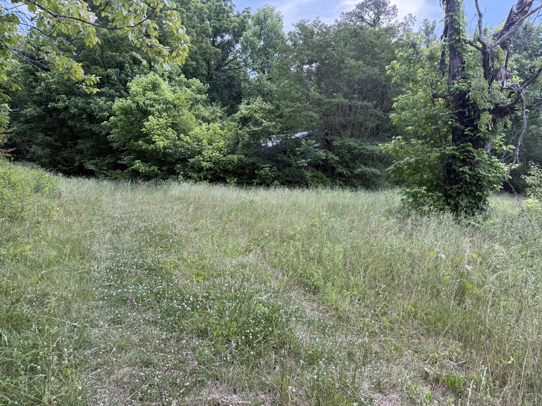 481 Rolin Hollow Road Ardmore, TN 38449 - Photo 4 of 15 Gallery Image 4