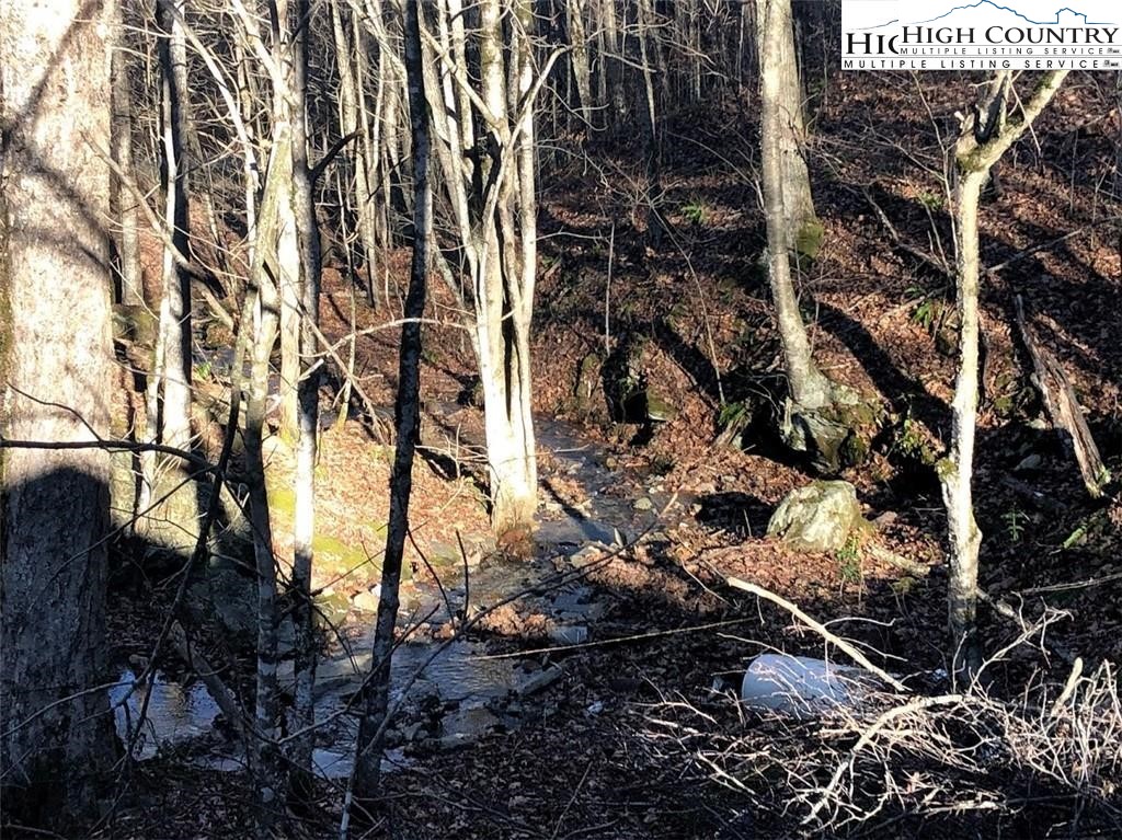 545 School House Road Whitetop, VA 24292 - Photo 11 of 44 a backyard of a house