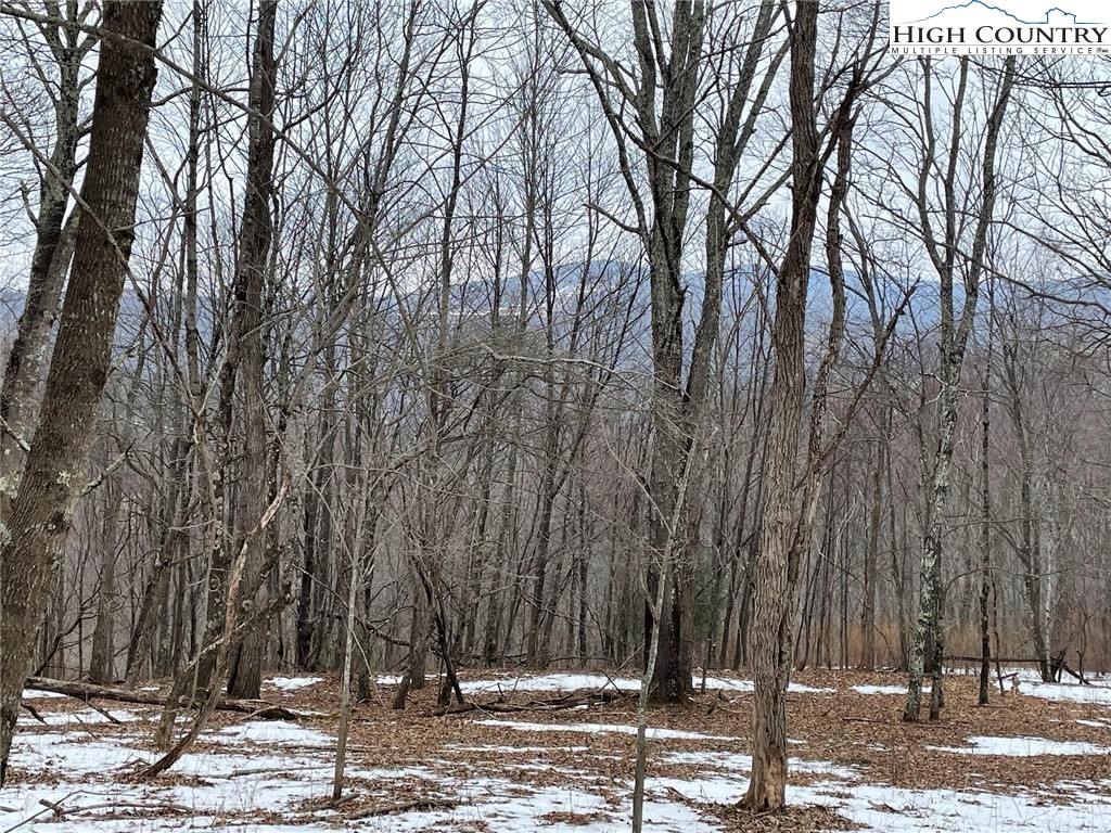 545 School House Road Whitetop, VA 24292 - Photo 32 of 44