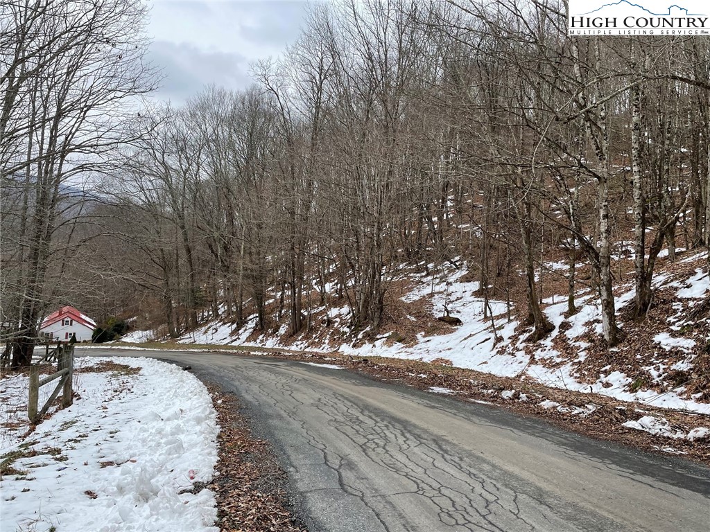 545 School House Road Whitetop, VA 24292 - Photo 8 of 44 a view of road and with trees
