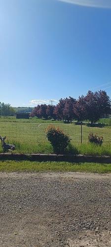 2840 Valley Creek Road Northwest Salem, OR 97304 - Photo 6 of 10