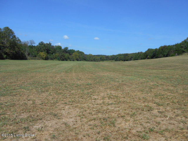 0 Wimsatt Road Loretto, KY 40037 - Photo 9 of 15 DSCN0206